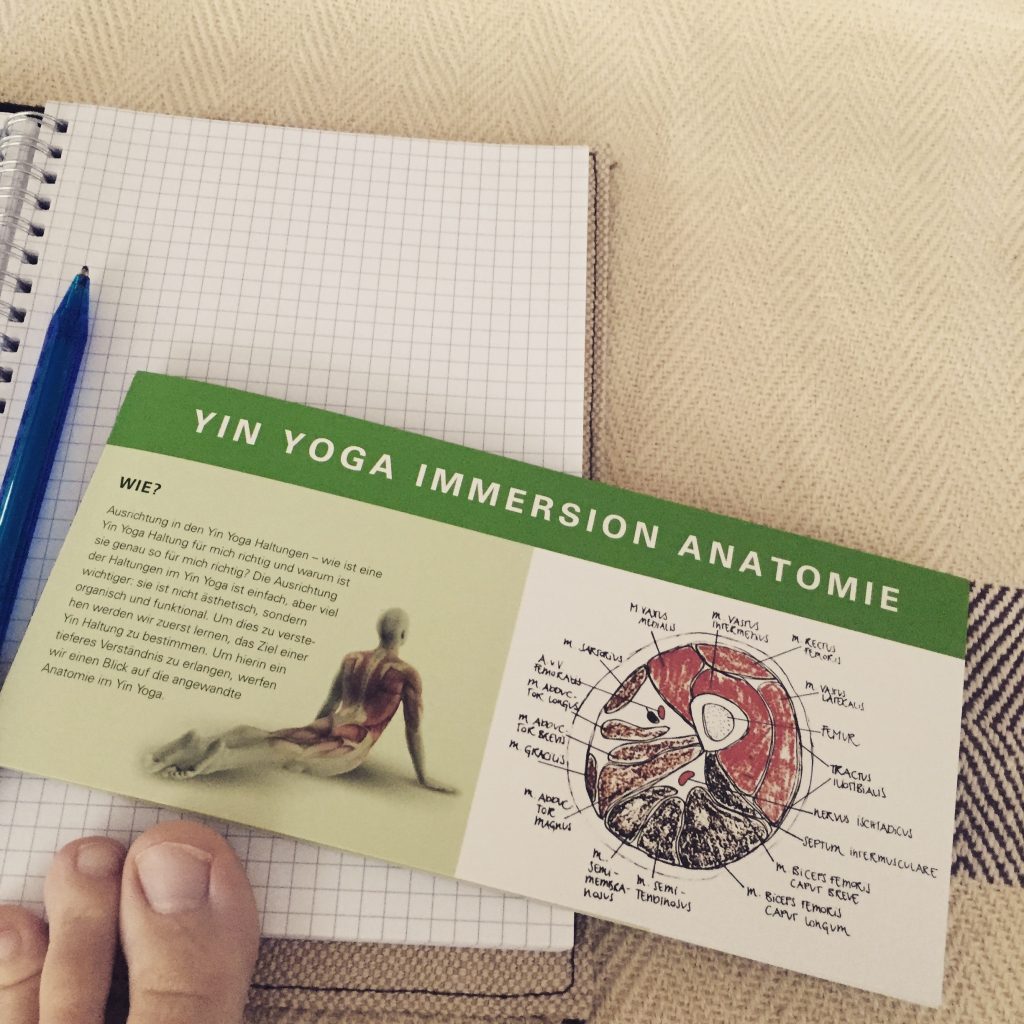 Yin Yoga Poster DIN A1 - Helga Baumgartner & Elemente-Lehre